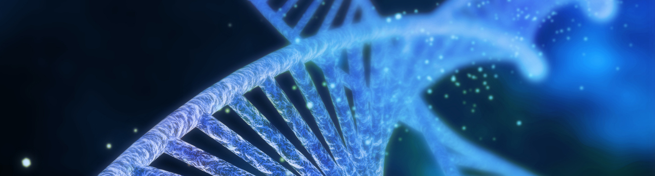 Feature Image for Chinchilla Color and Fur Mutations