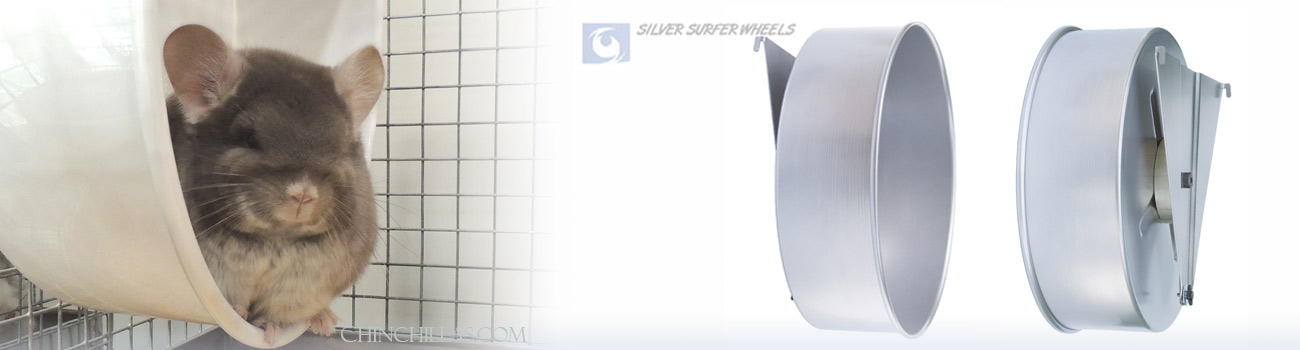 Feature Image for Chinchilla Exercise Wheels