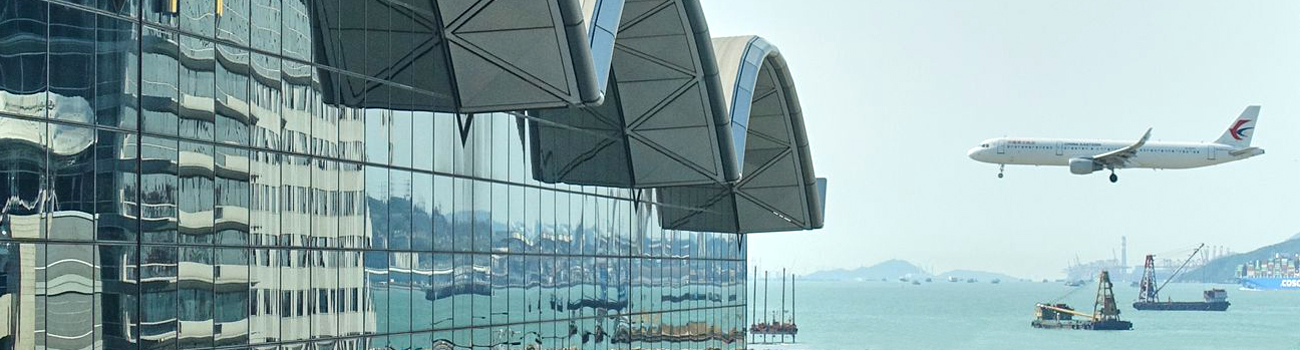 Feature Image for International Chinchilla Exports and Domestic Shipping