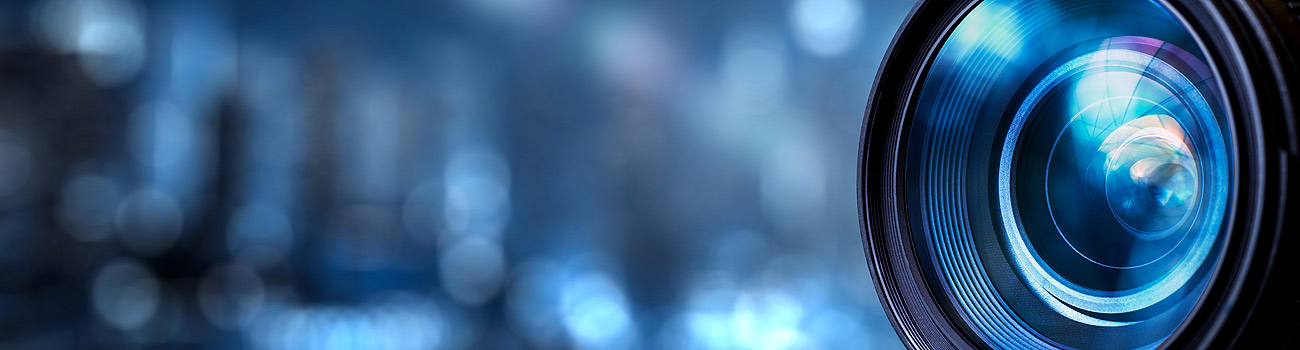 Feature Image for Chinchilla Photos