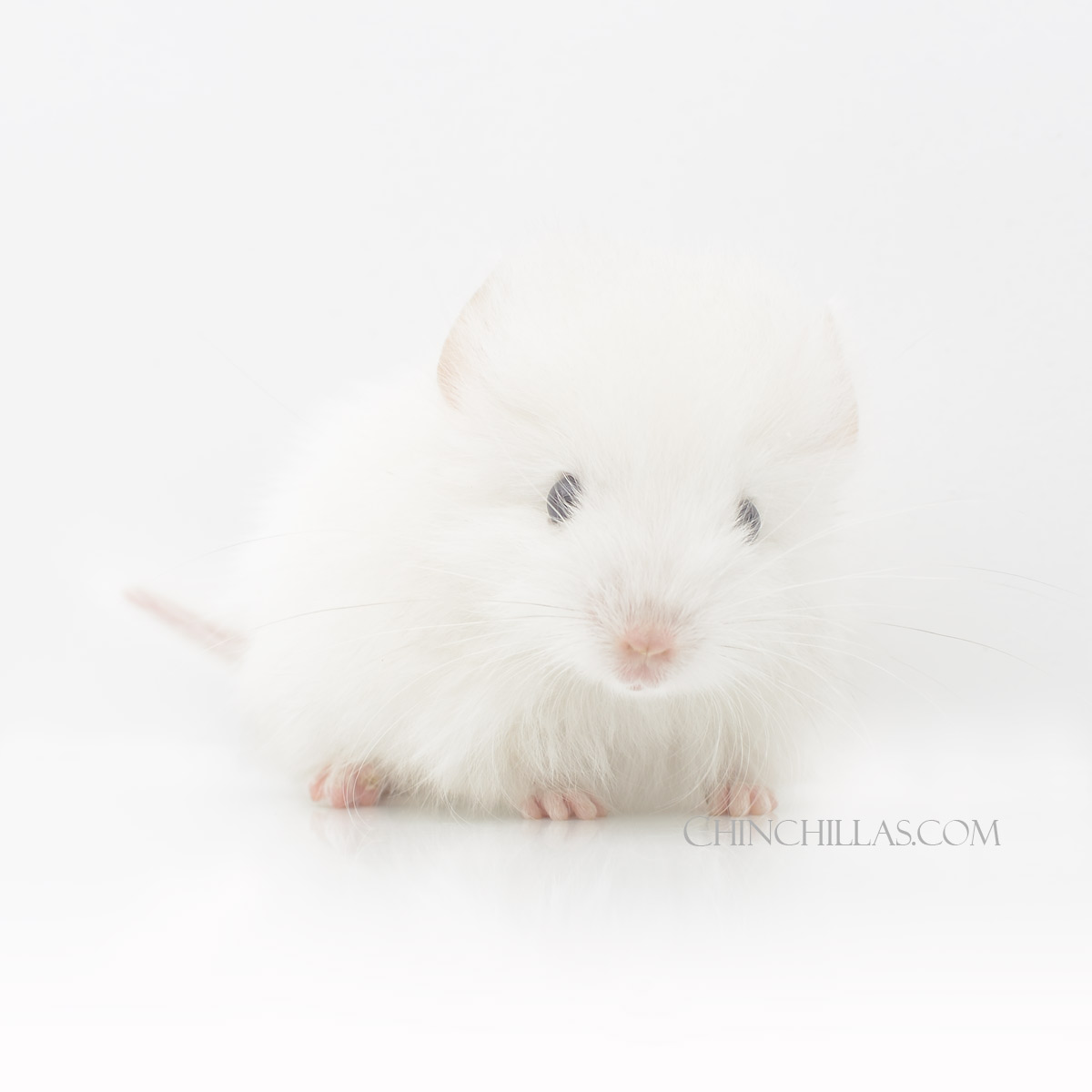 May the 4th be with you