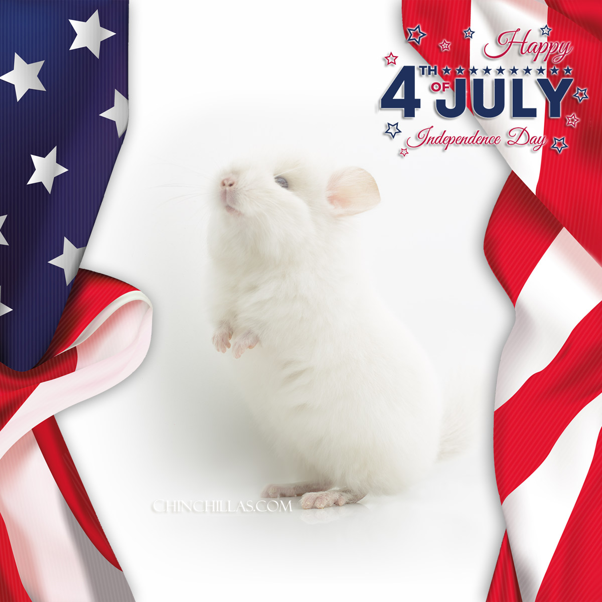 Happy 4th of July 2024