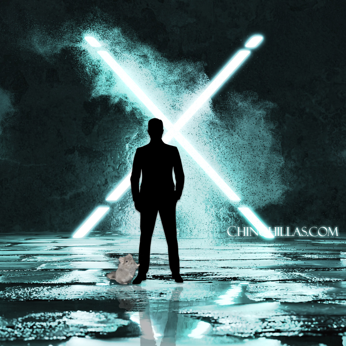 The Elusive Mr. X and the Violet Chinchilla