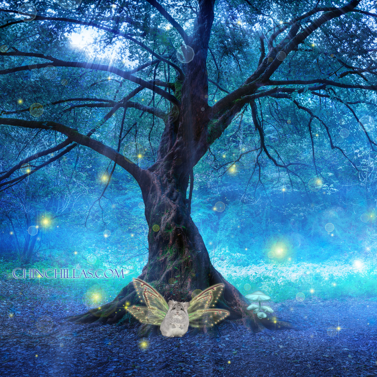 The Magic of Midsummer's Eve 2024