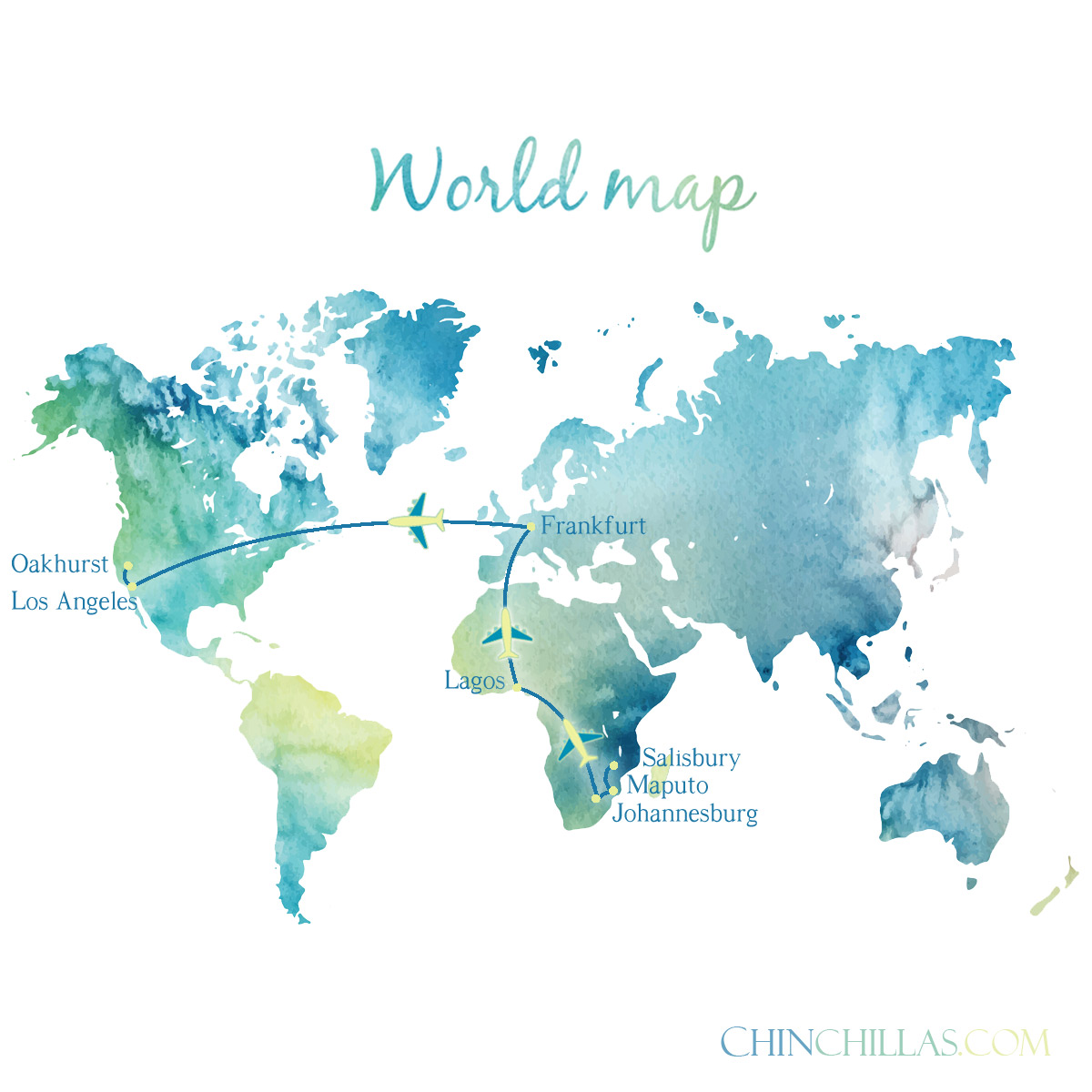 Mr. X and the Violet Chinchilla, the Journey Continues