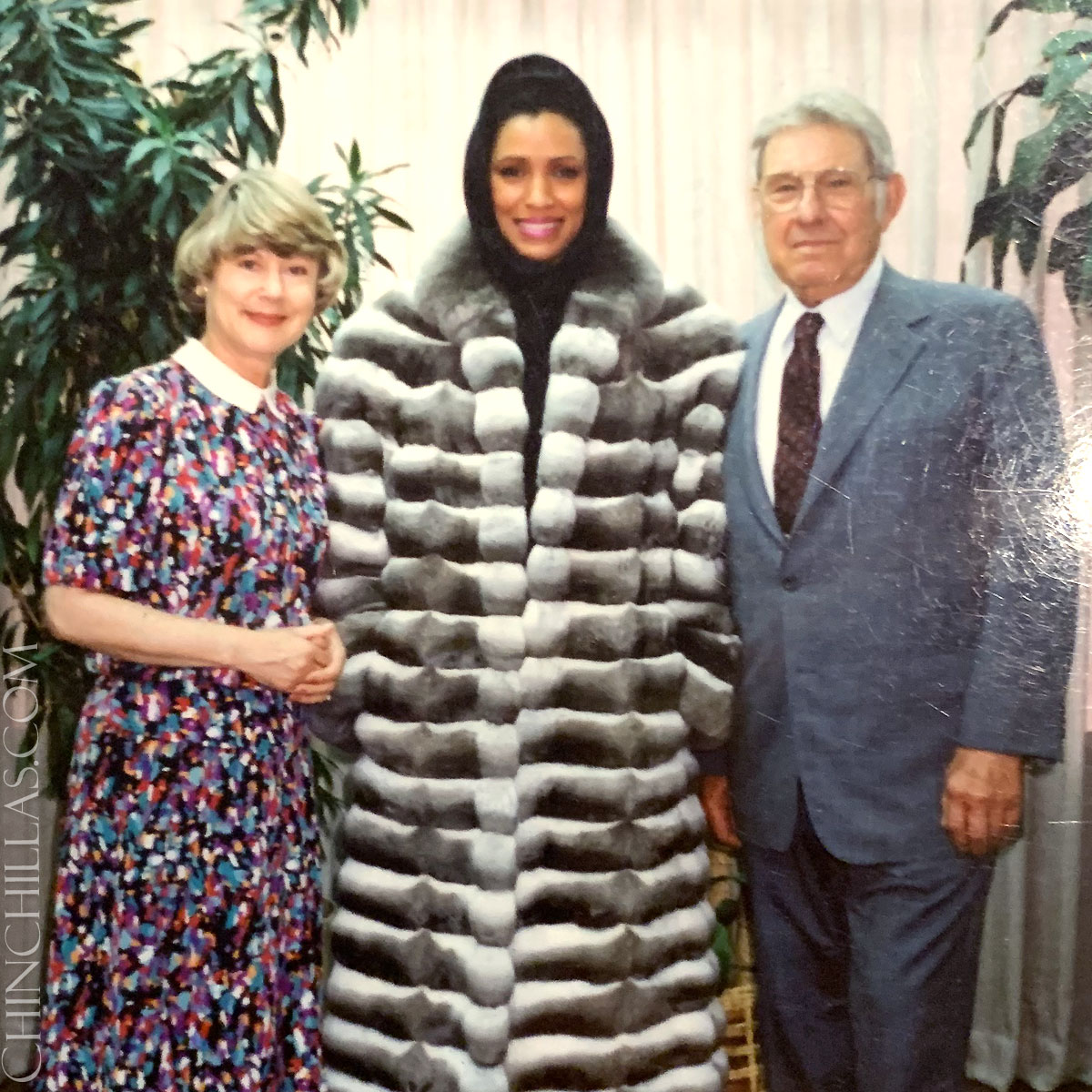 The History of the Violet Chinchilla