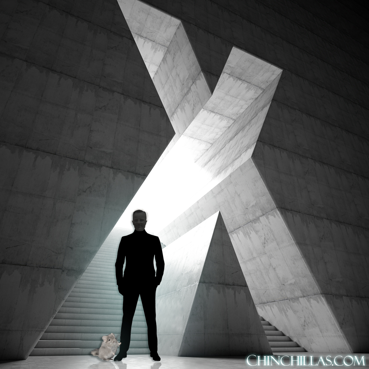 After 60 Years, the infamous Mr X has been found...