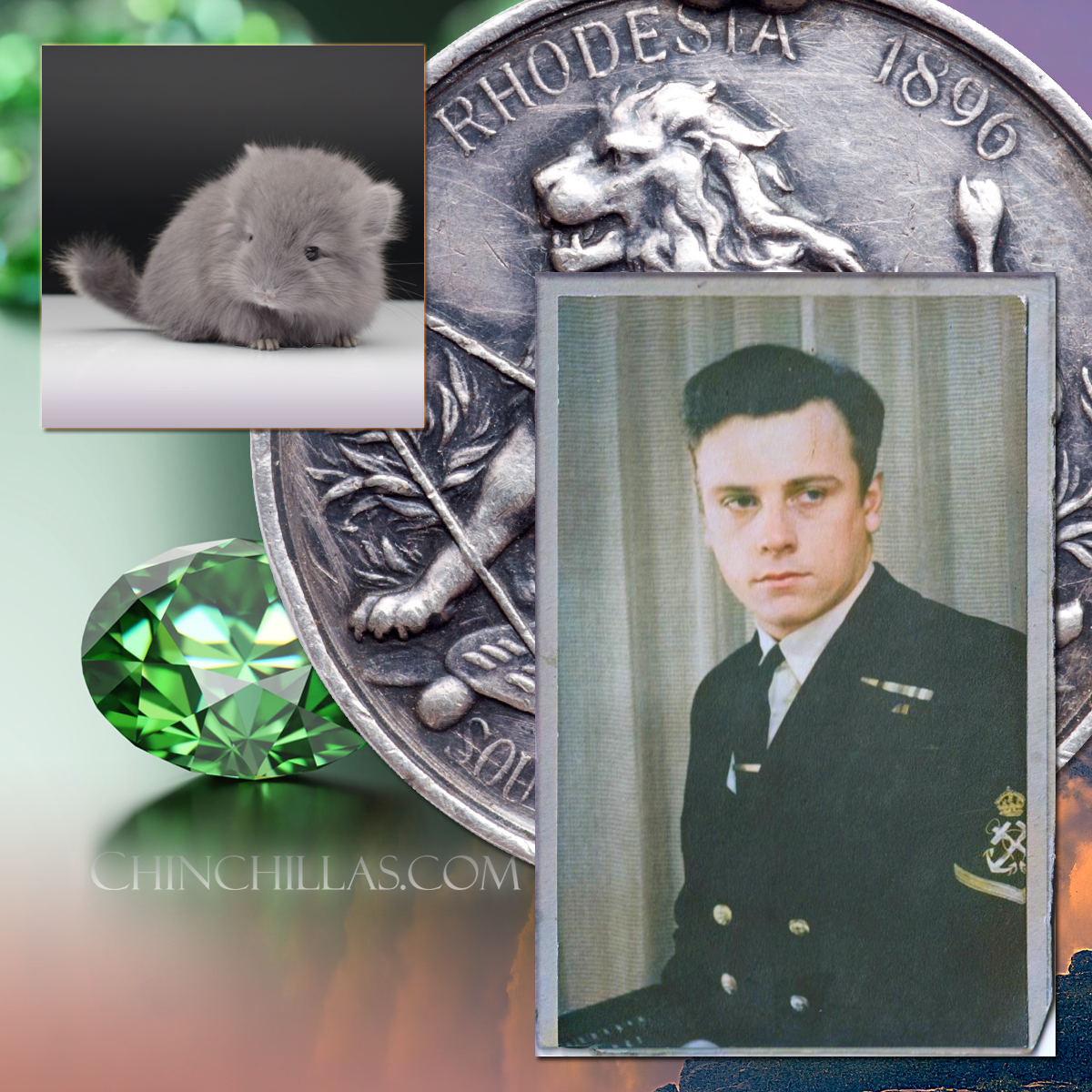 The Finding of Mr. X and the Gillingham Violet Chinchilla