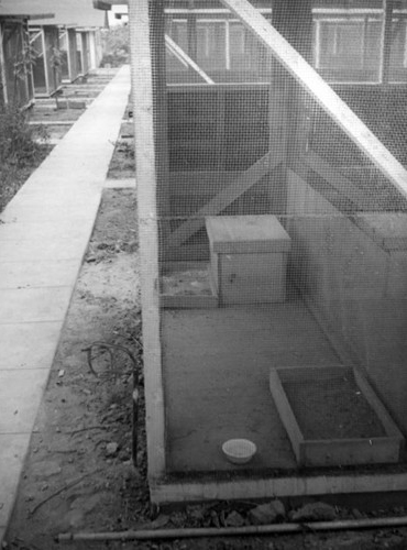 Mathias Chapman chinchilla research inglewood california