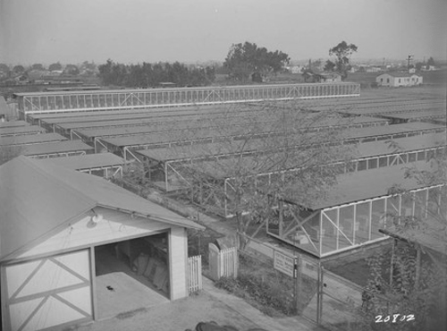 Mathias Chapman Chinchilla Research Inglewood California