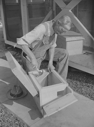 Mathias Chapman Chinchilla Research 